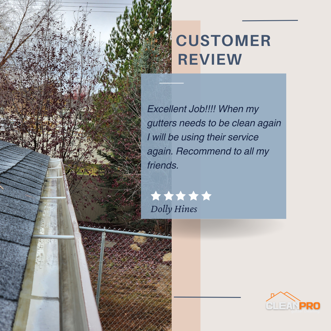 Dolly From St Louis MO, gives us a 5 star review for a recent gutter cleaning service.