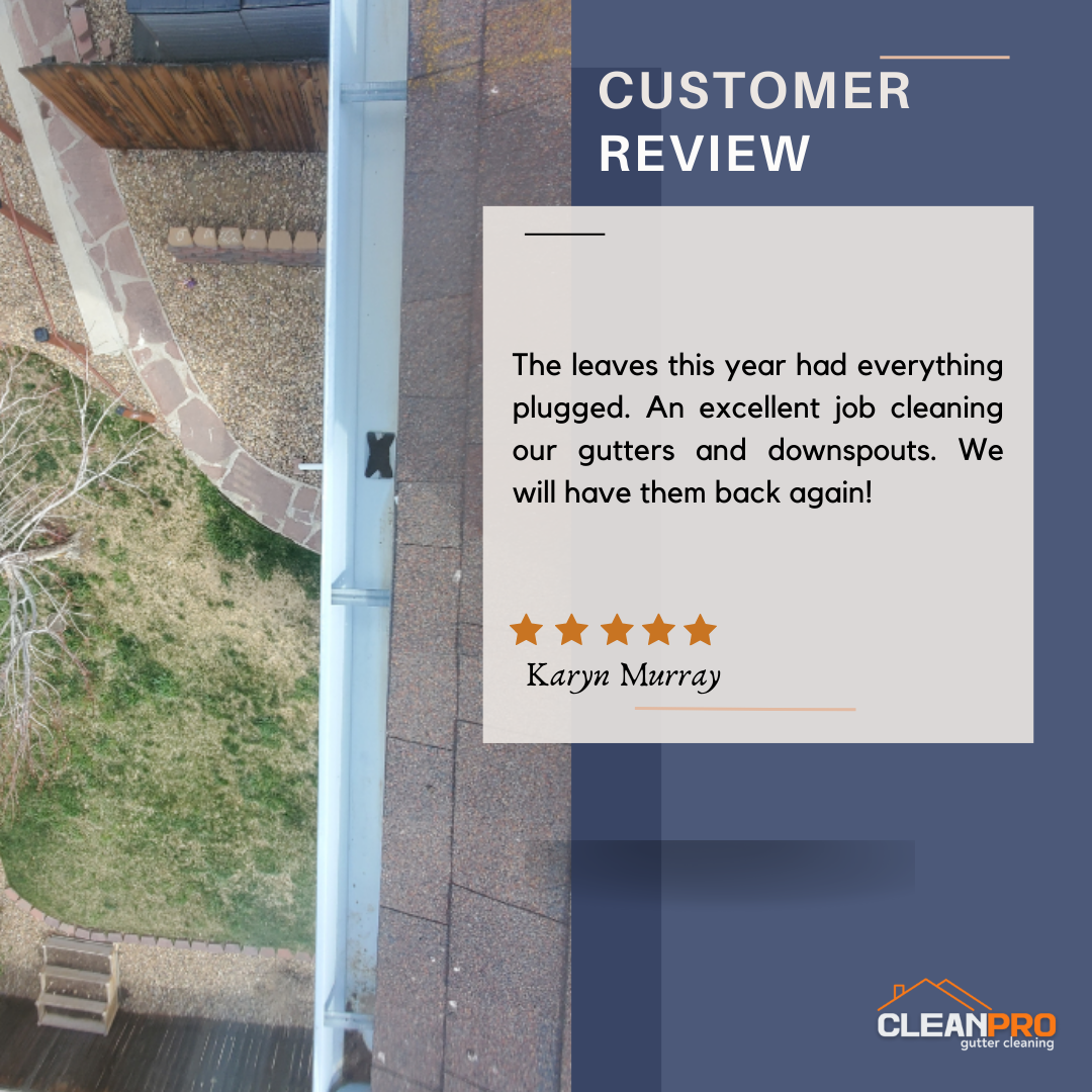 Karyn From Reno NV, gives us a 5 star review for a recent gutter cleaning service.