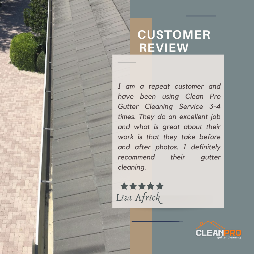 Lisa From Detroit MI, gives us a 5 star review for a recent gutter cleaning service.