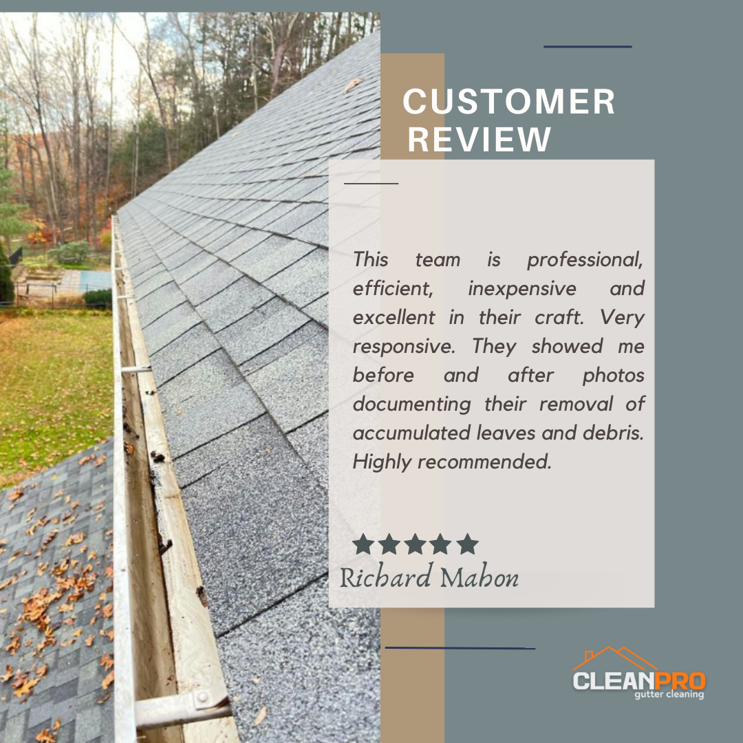 Richard From Orlando FL, gives us a 5 star review for a recent gutter cleaning service.