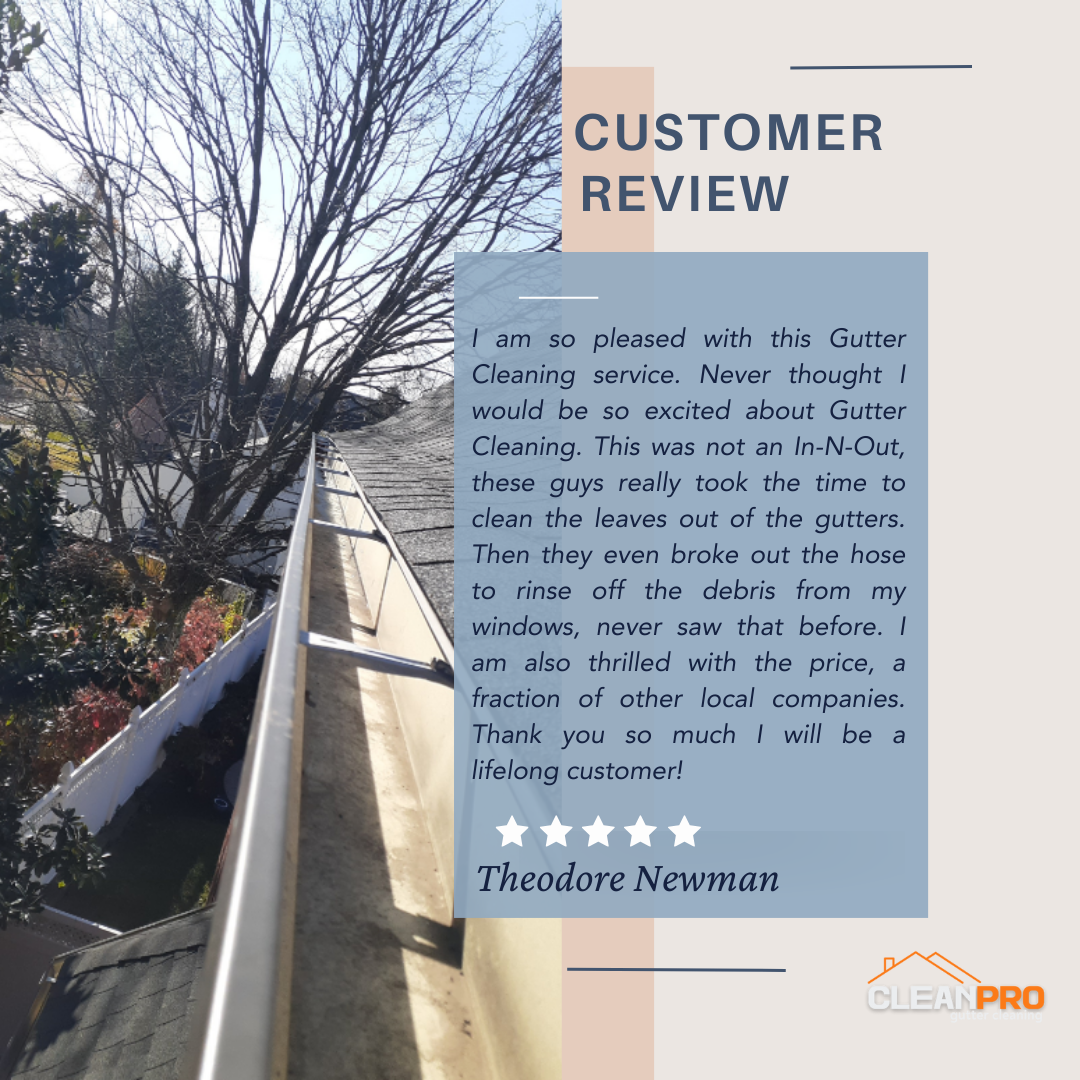 Theodore From Dallas TX, gives us a 5 star review for a recent gutter cleaning service.