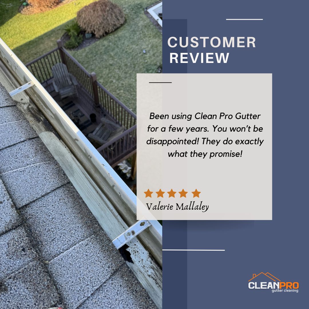 Valerie From Dallas , TX gives us a 5 star review for a recent gutter cleaning service.
