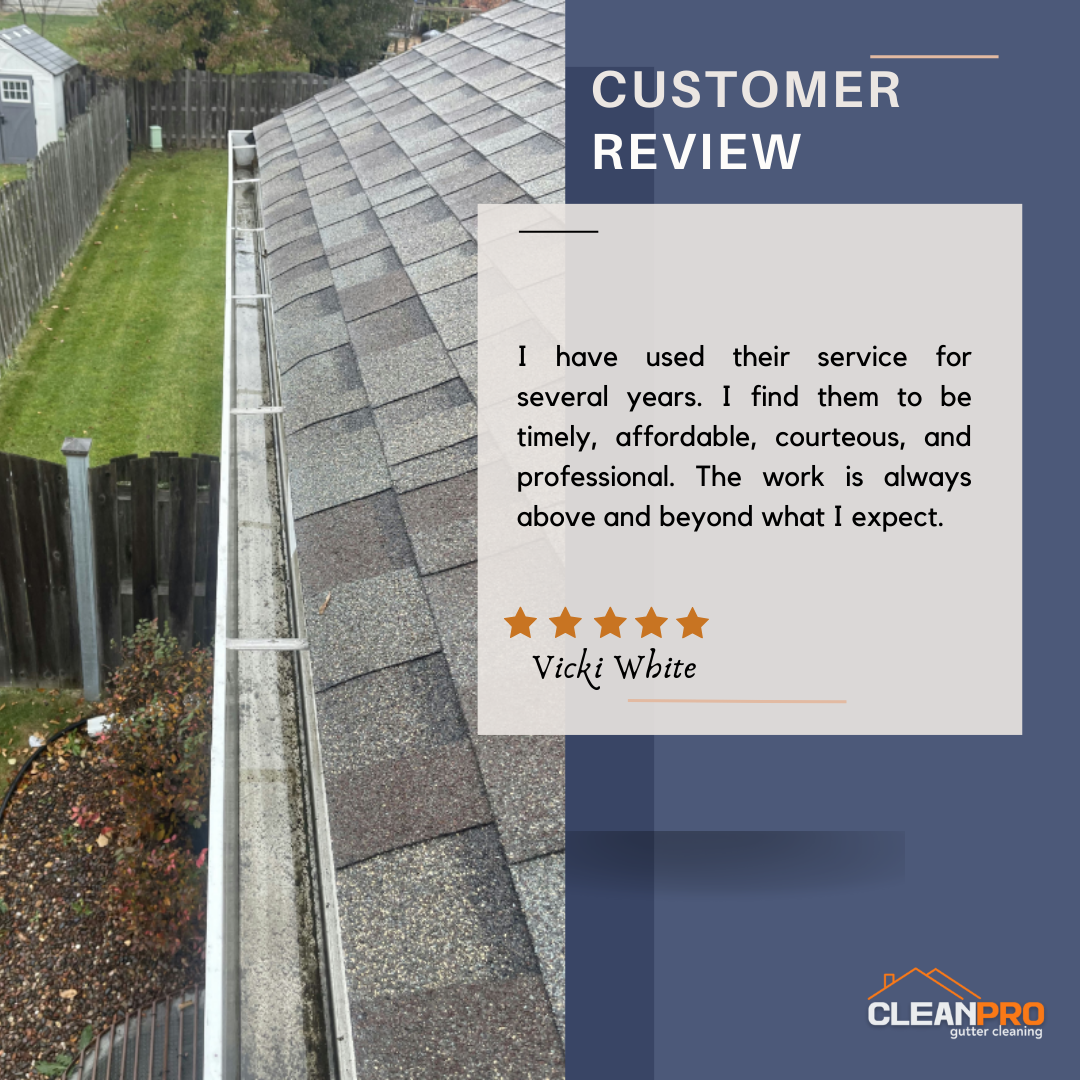 Vicki From Dallas TX, gives us a 5 star review for a recent gutter cleaning service.