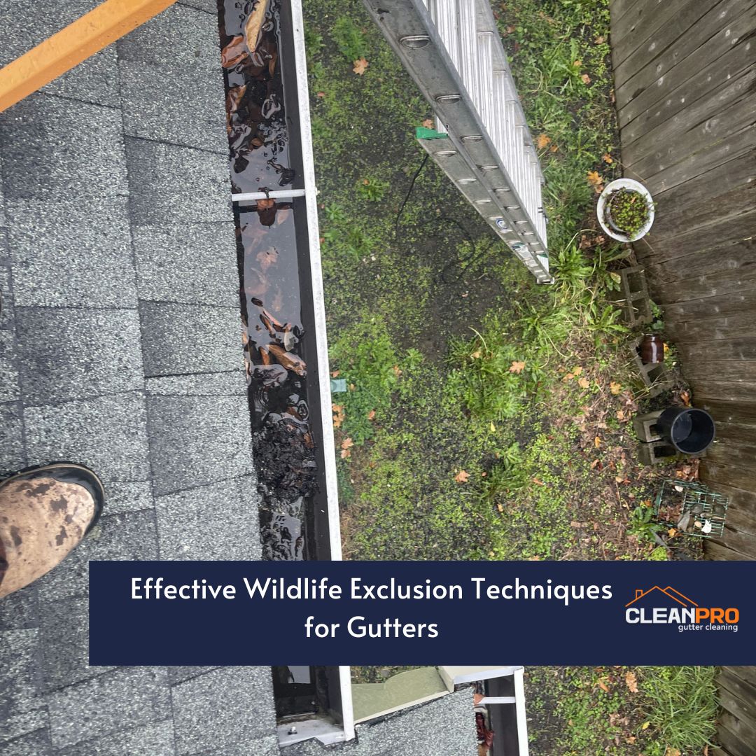 Effective Wildlife Exclusion Techniques for Gutters