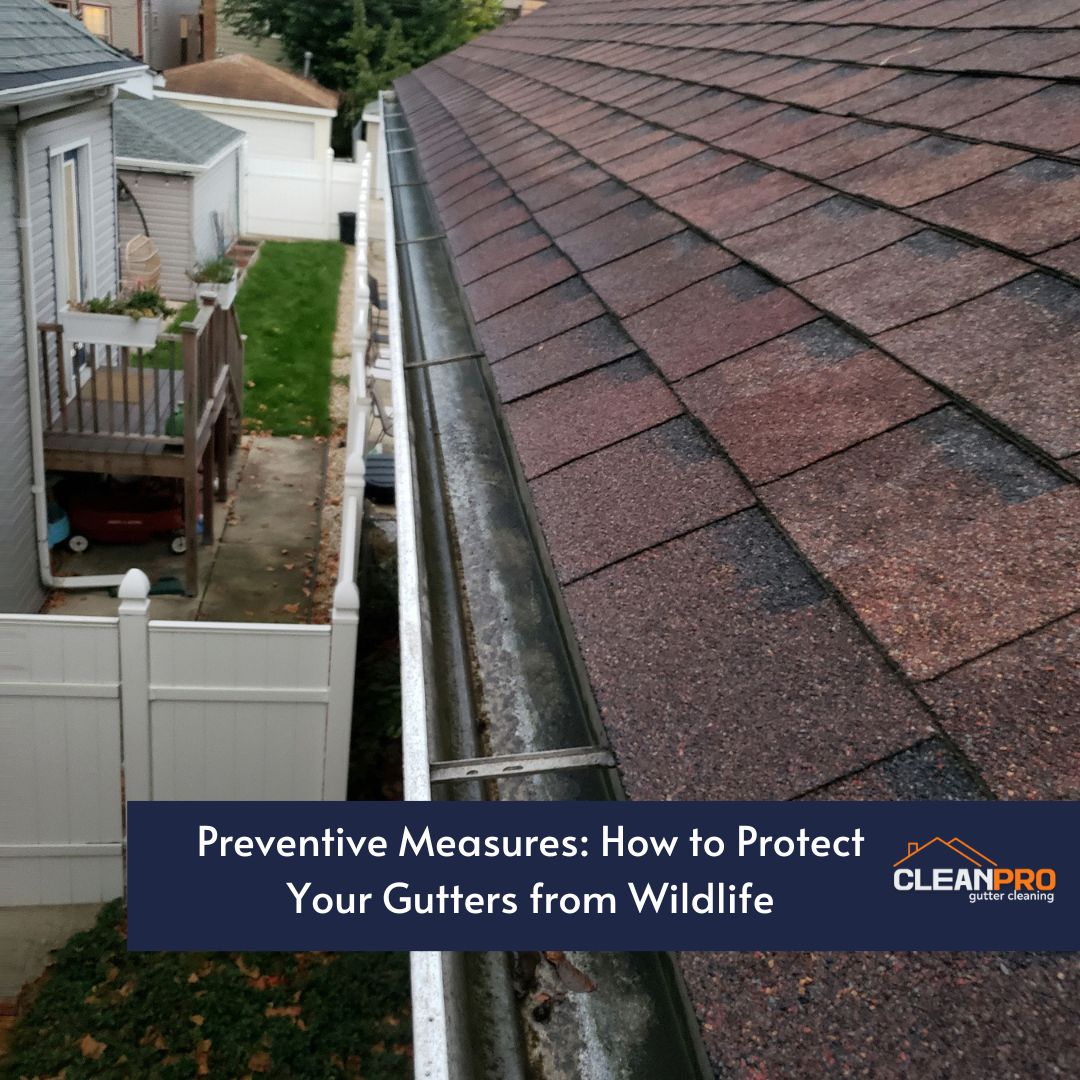 Preventive Measures: How to Protect Your Gutters from Wildlife