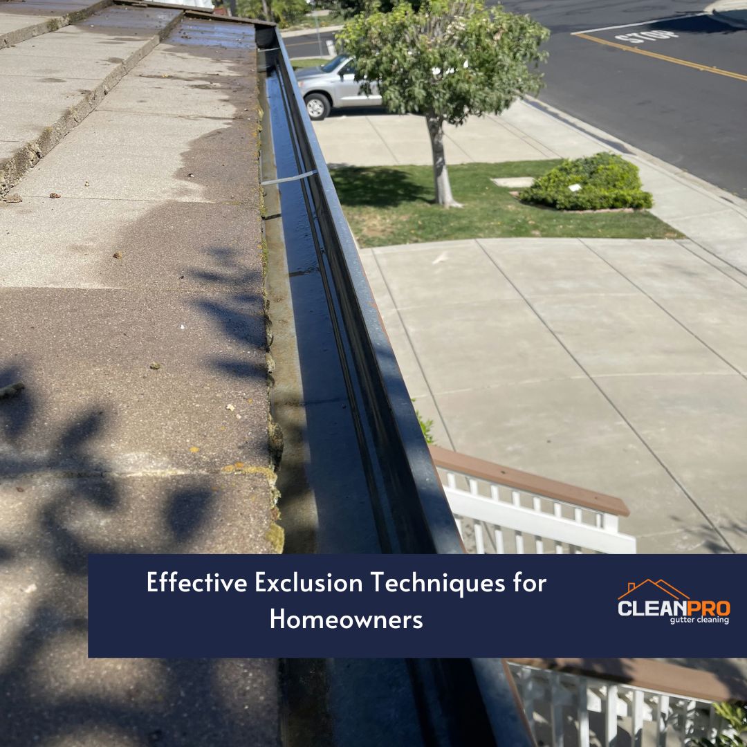 Effective Exclusion Techniques for Homeowners