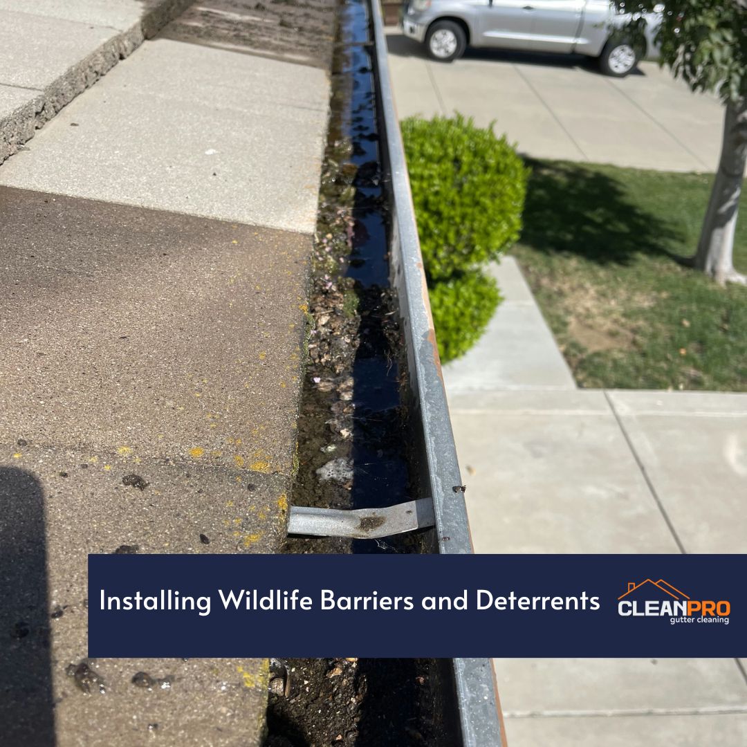 Installing Wildlife Barriers and Deterrents