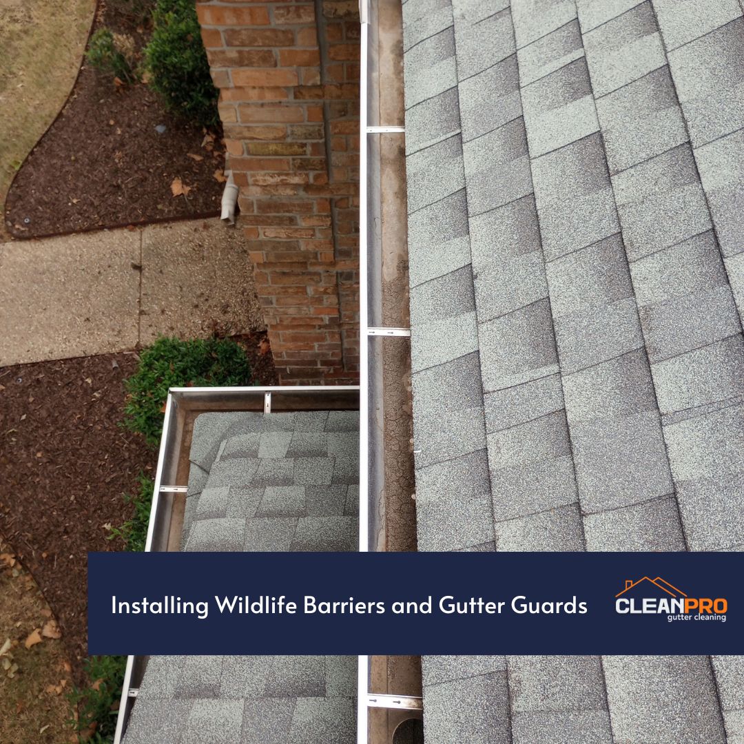 Installing Wildlife Barriers and Gutter Guards