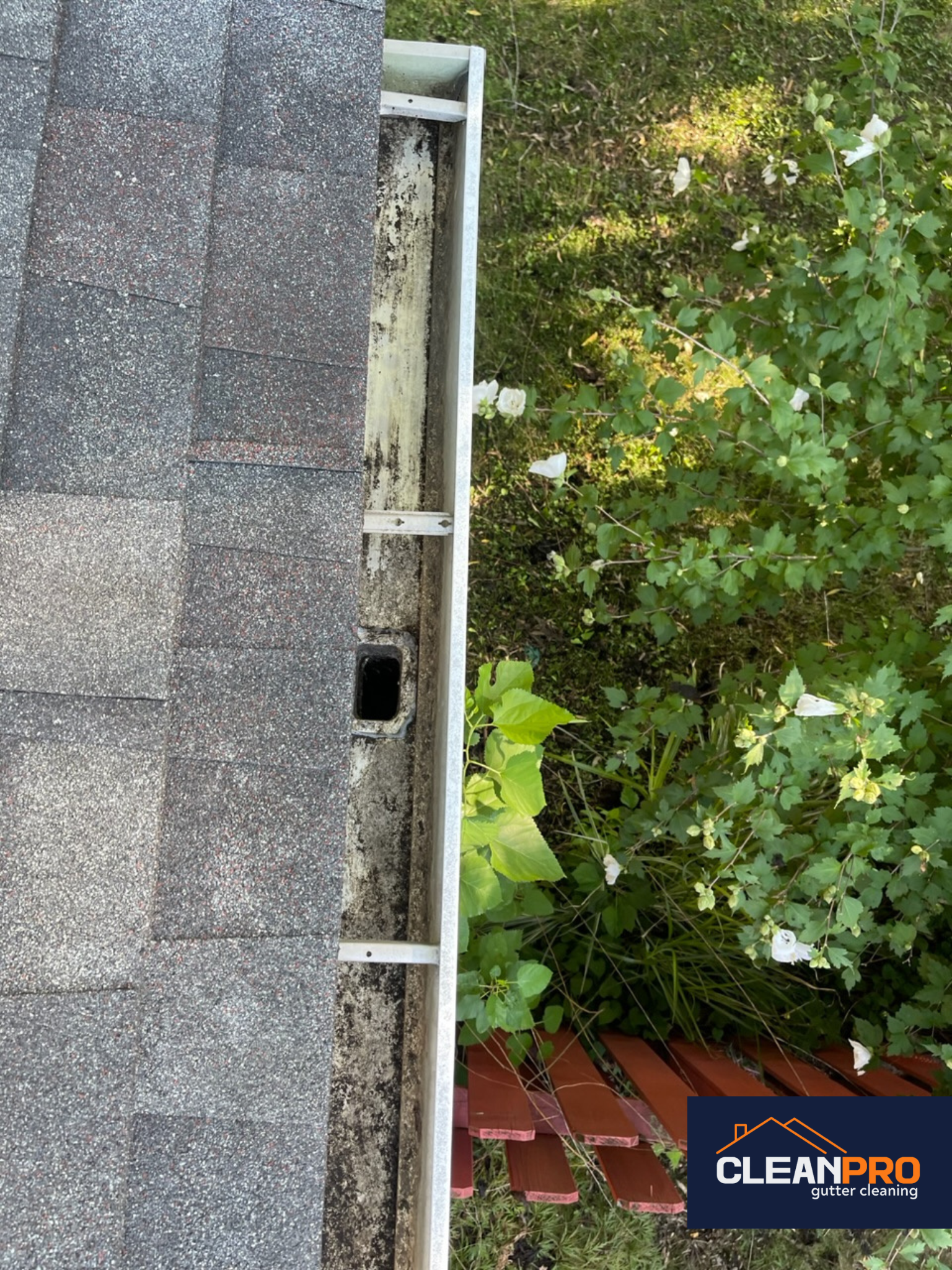 Residential Gutter Cleaning in Dallas, TX