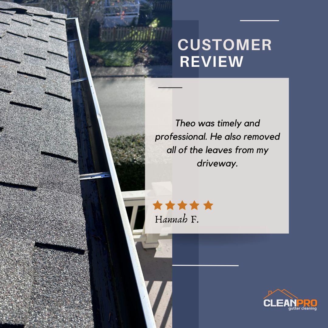 Hannah From Pittsburgh, PA gives us a 5 star review for a recent gutter cleaning service.
