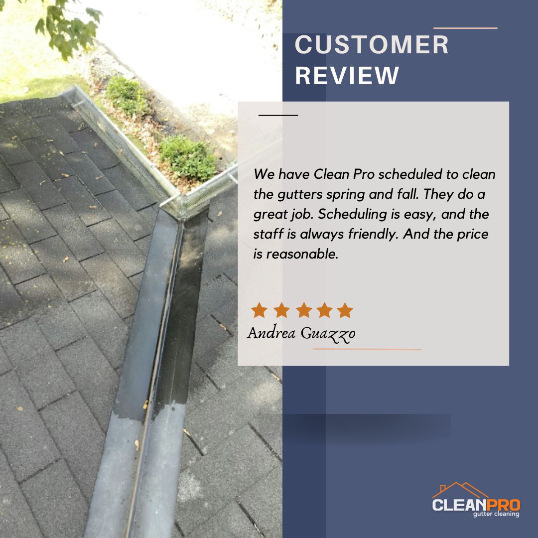 Andrea From Pittsburgh, PA gives us a 5 star review for a recent gutter cleaning service.