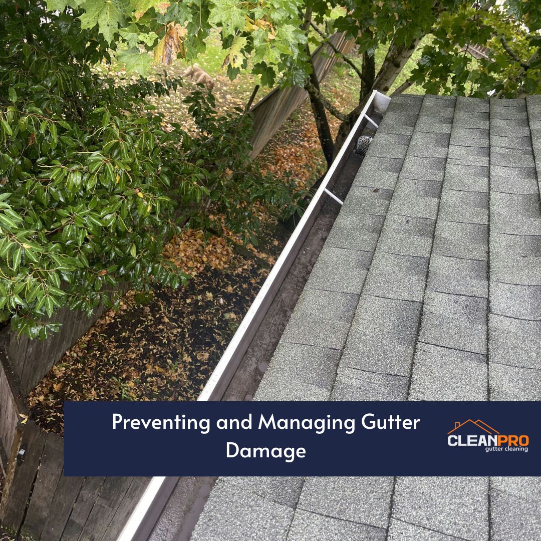 Preventing and Managing Gutter Damage