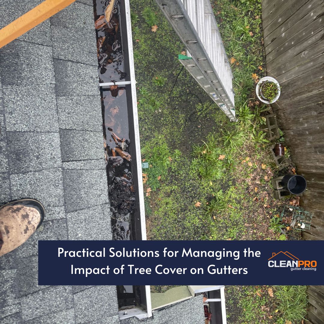 Practical Solutions for Managing the Impact of Tree Cover on Gutters