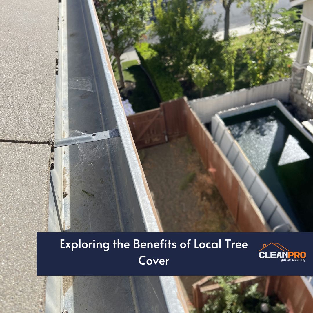 Exploring the Benefits of Local Tree Cover