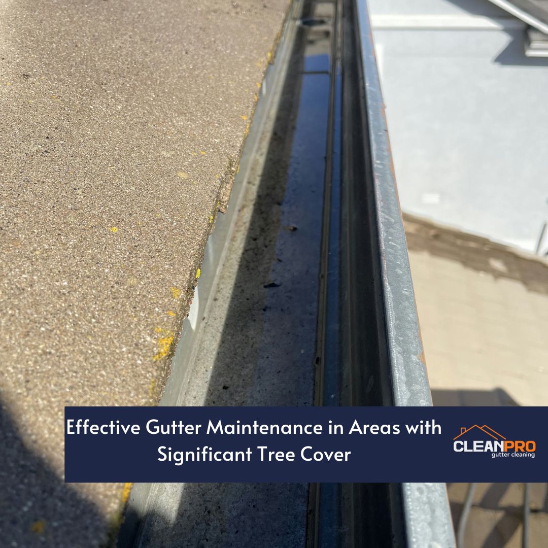 Effective Gutter Maintenance in Areas with Significant Tree Cover