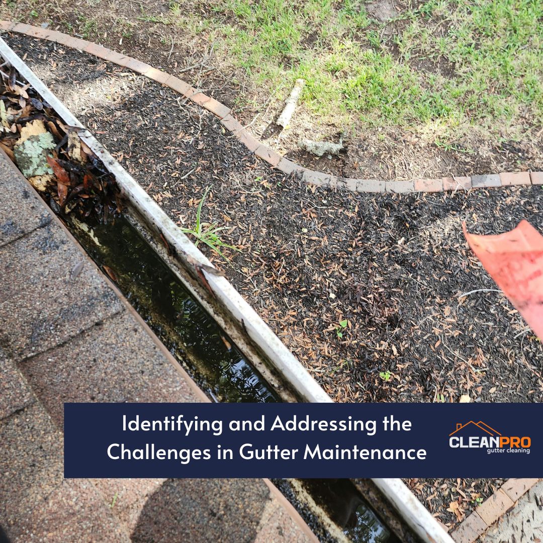 Identifying and Addressing the Challenges in Gutter Maintenance