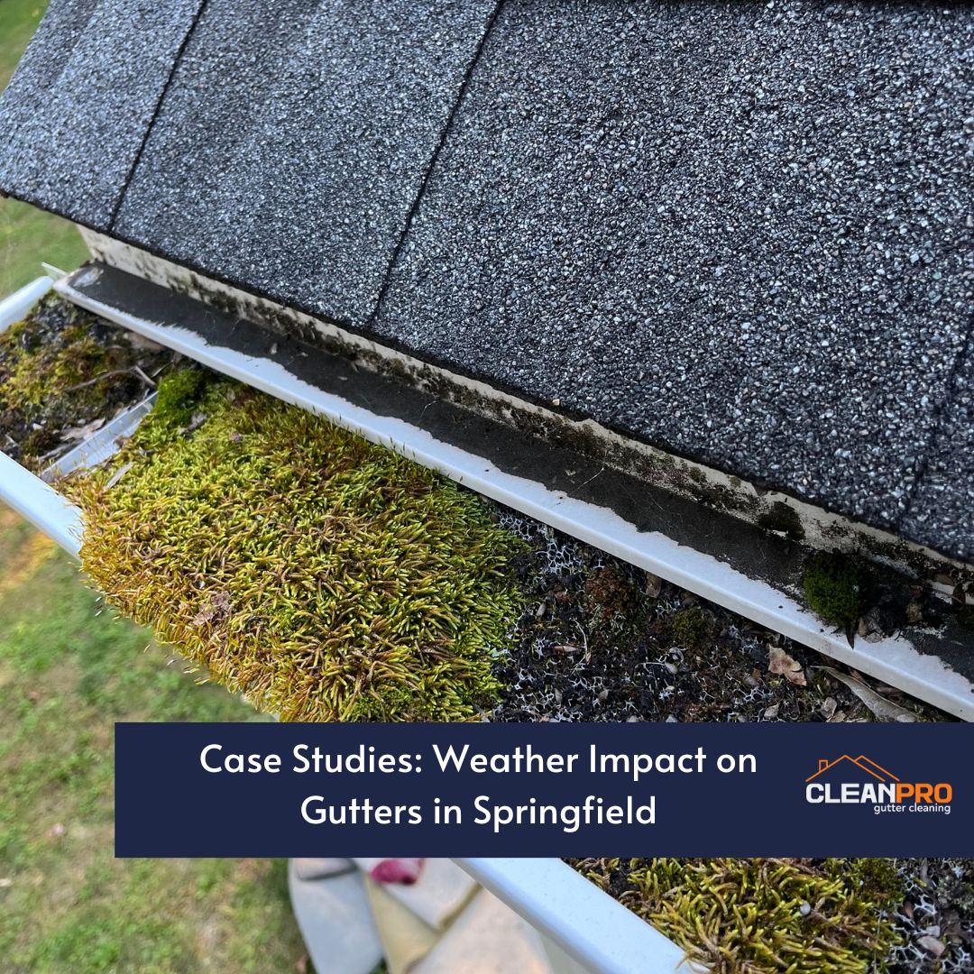 Case Studies: Weather Impact on Gutters in Springfield