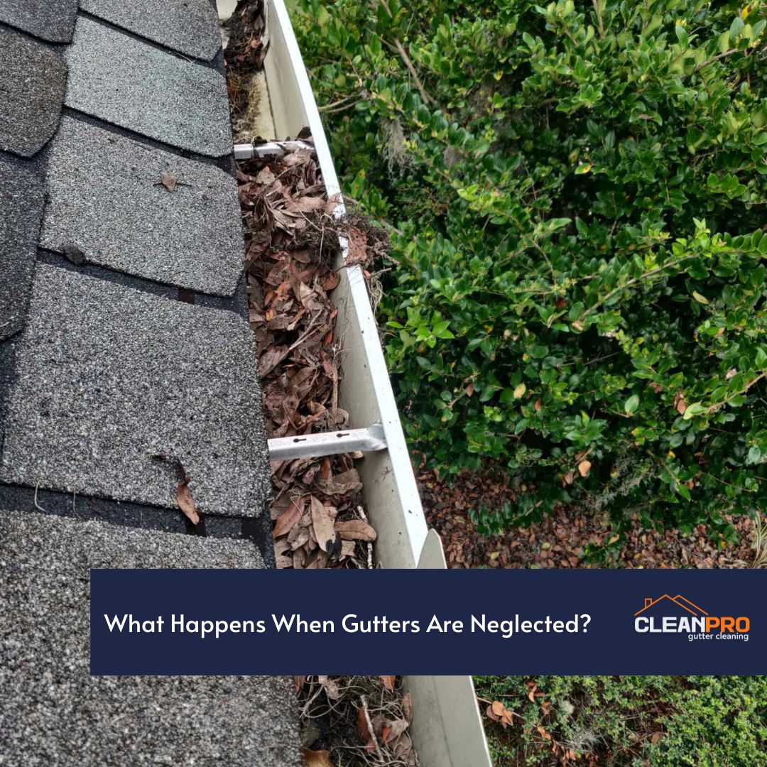 What Happens When Gutters Are Neglected?