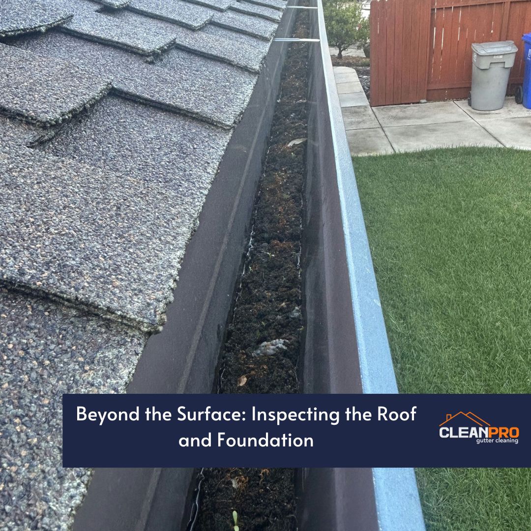 Beyond the Surface: Inspecting the Roof and Foundation