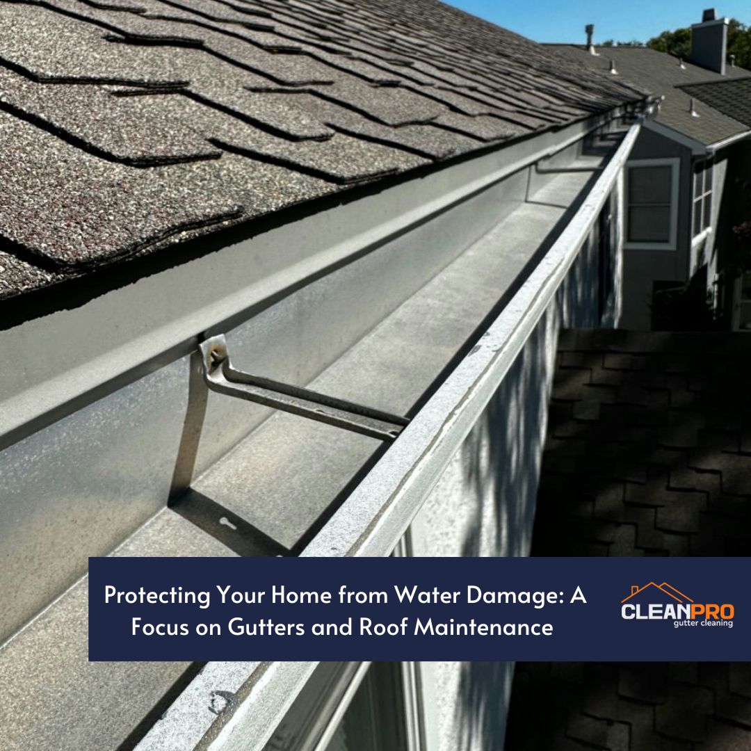 Protecting Your Home from Water Damage: A Focus on Gutters and Roof Maintenance