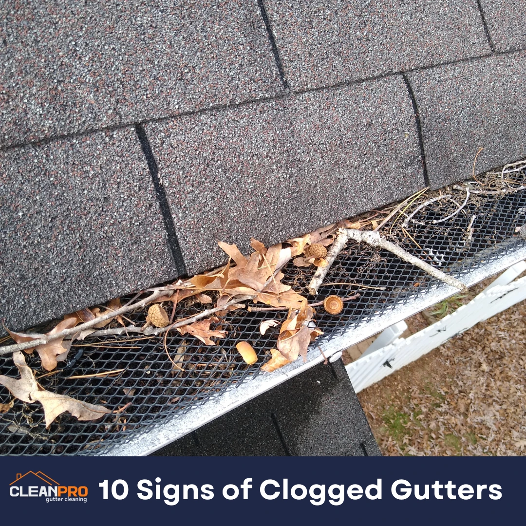 10 Signs of Clogged Gutters
