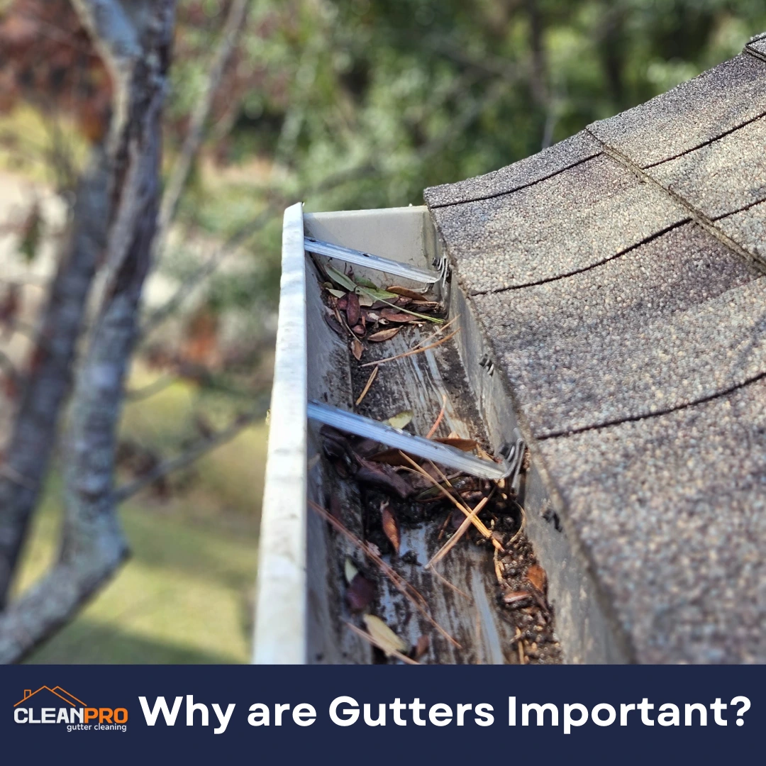 Why are Gutters Important?