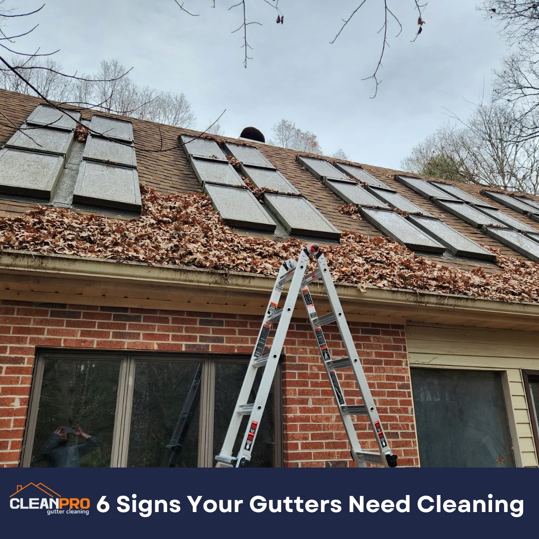 6 Signs Your Gutters Need Cleaning