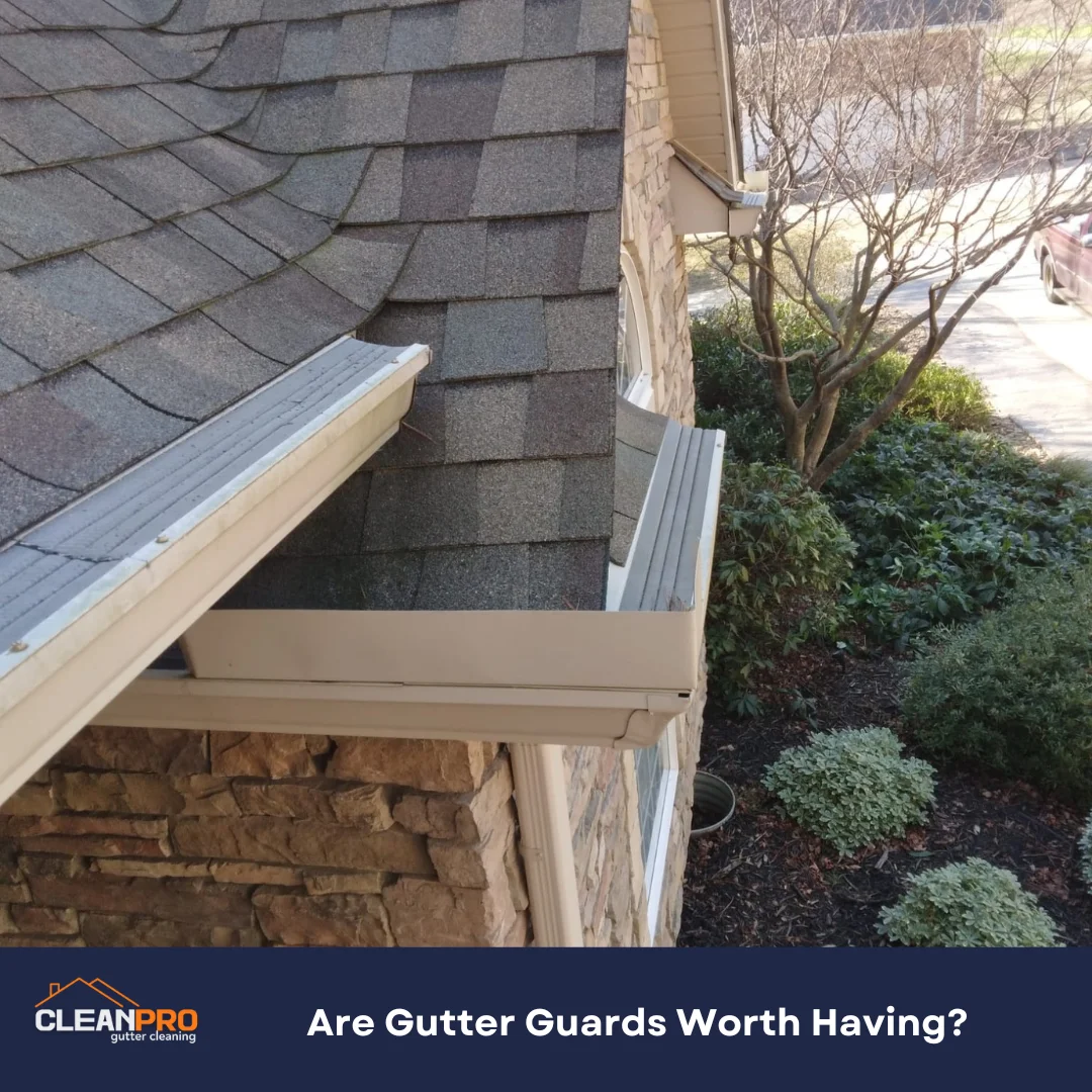 Are Gutter Guards Worth Having