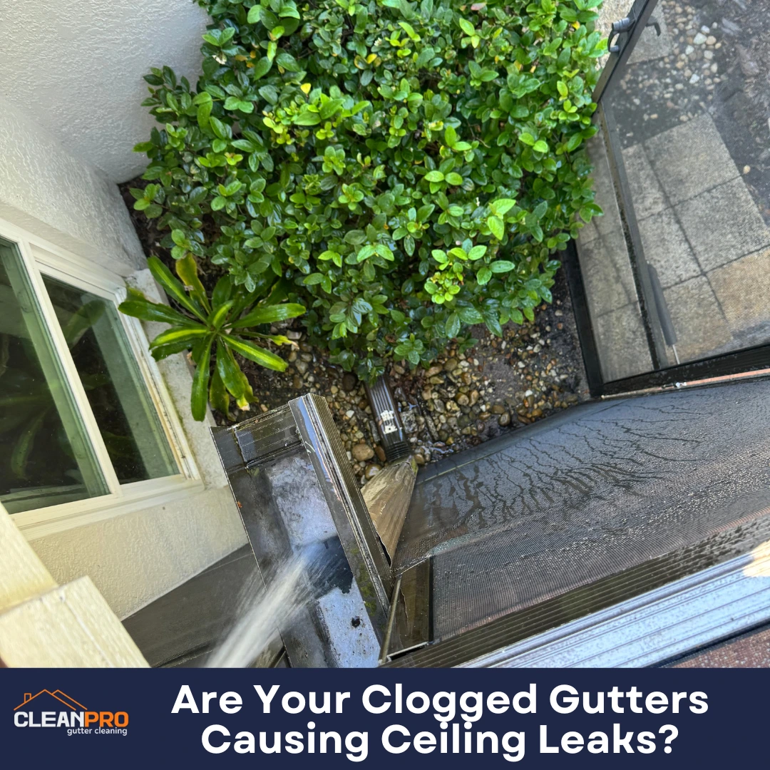Are Your Clogged Gutters Causing Ceiling Leaks?