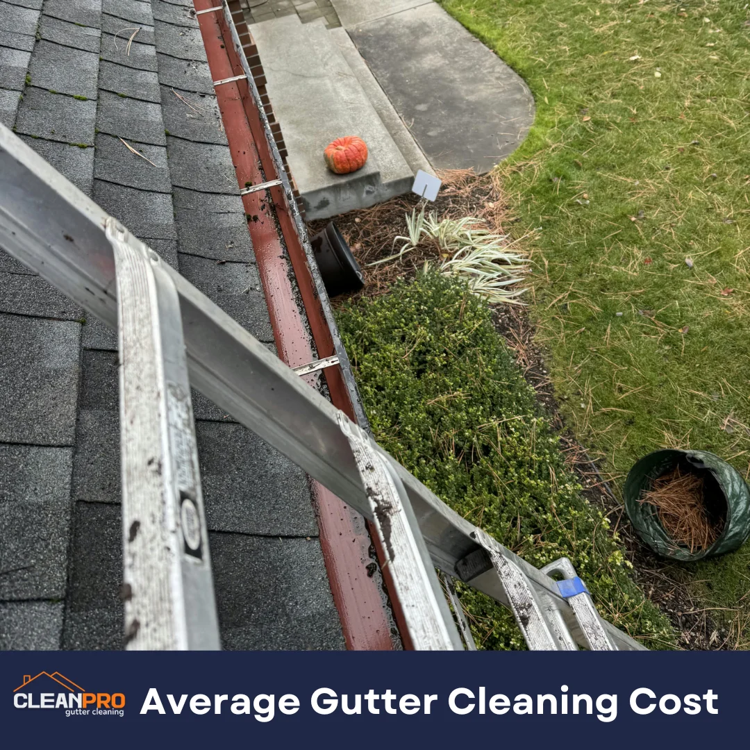 Average Gutter Cleaning Cost