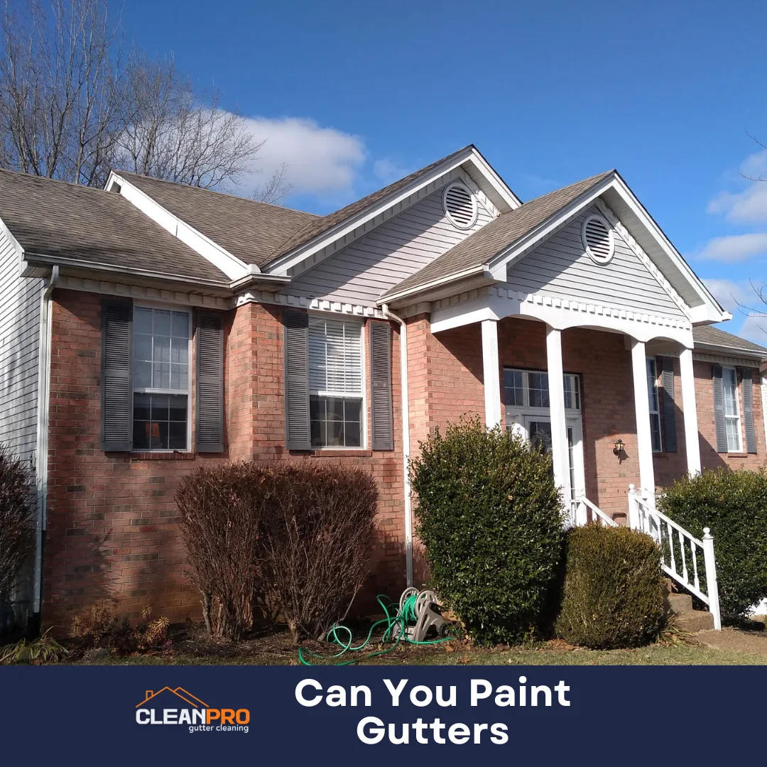 Can You Paint Gutters