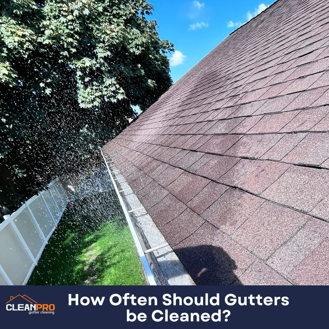 How Often Should Gutters be Cleaned?