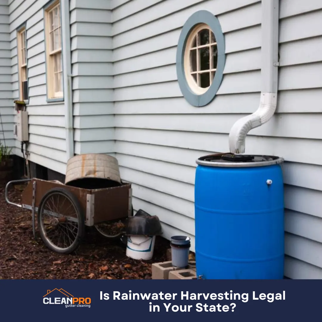 Is Rainwater Harvesting Legal in Your State