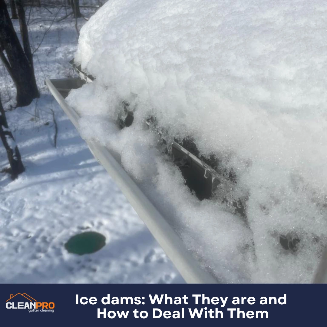 Ice dams: What They are and How to Deal With Them