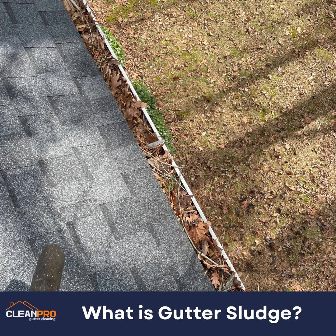 What is Gutter Sludge?