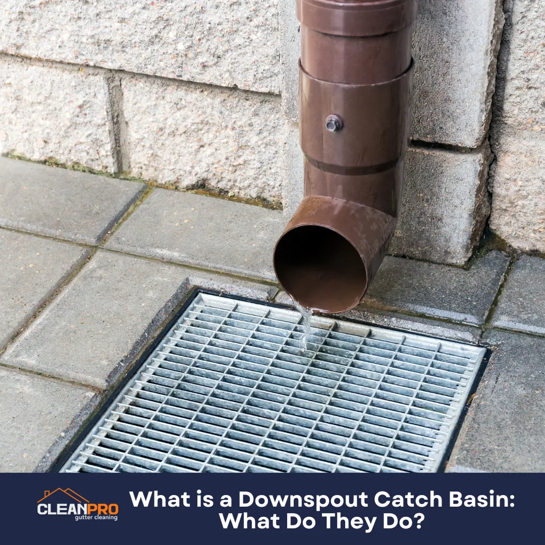 What is a Downspout Catch Basin What Do They Do