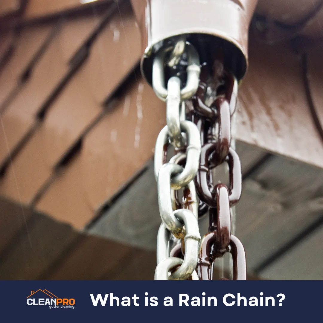 What is a Rain Chain