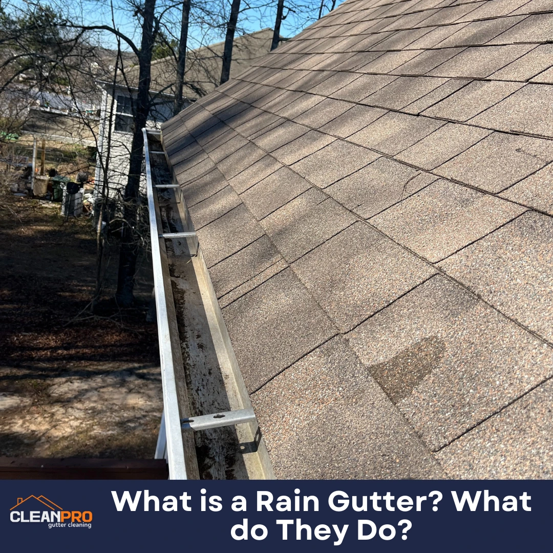 What is a Rain Gutter and What Does It Do?