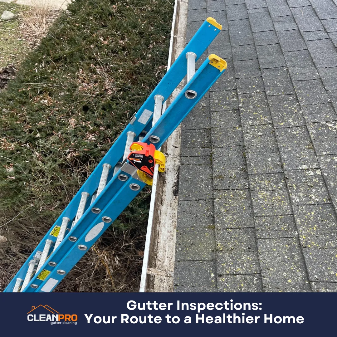Gutter Inspections Your Route to a Healthier Home