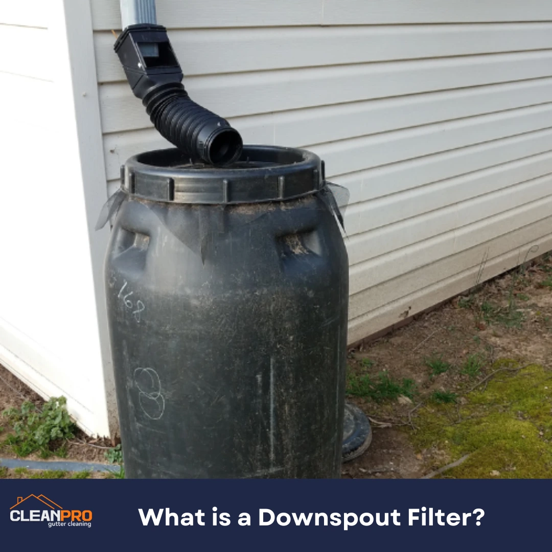 What is a Downspout Filter?