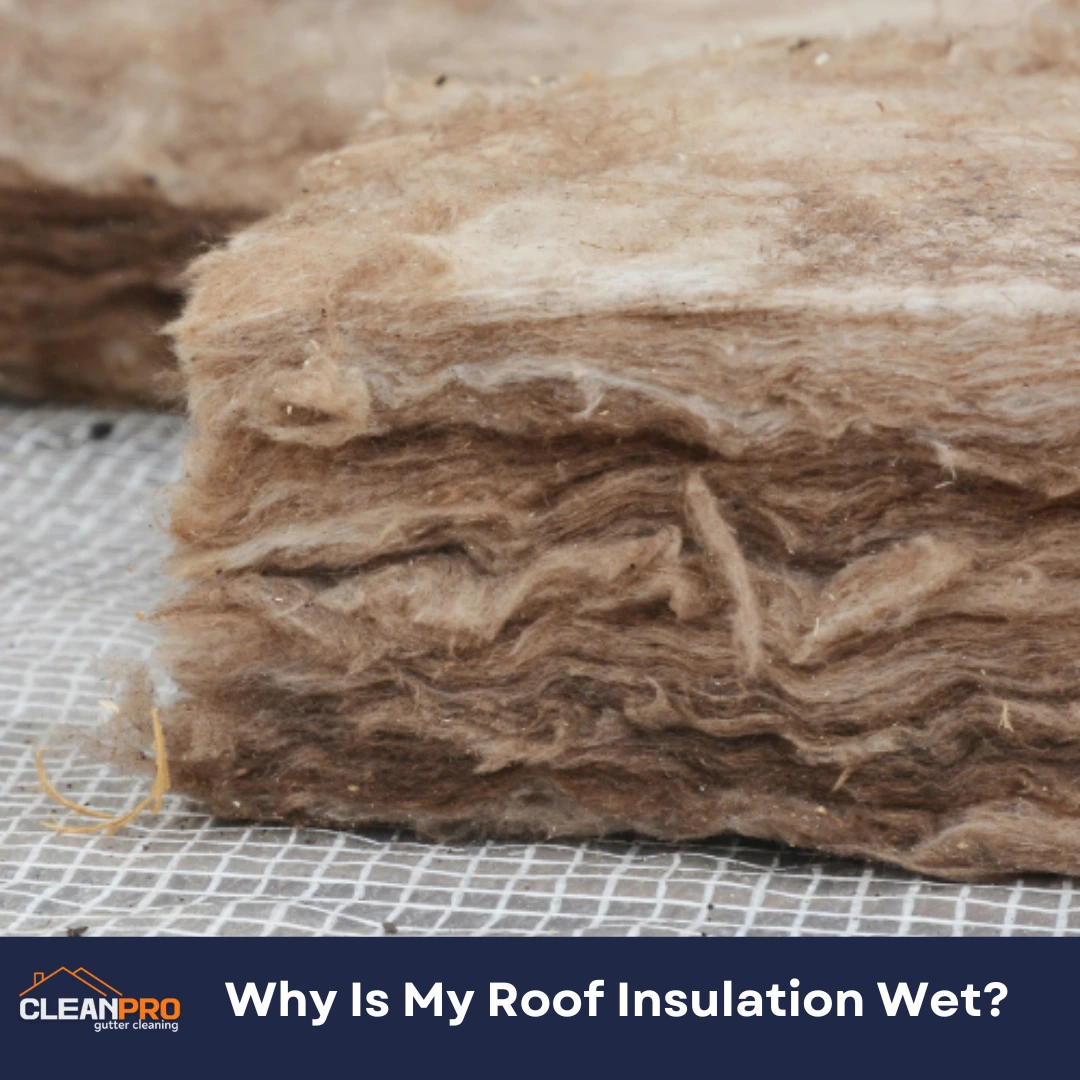 Why Is My Roof Insulation Wet?