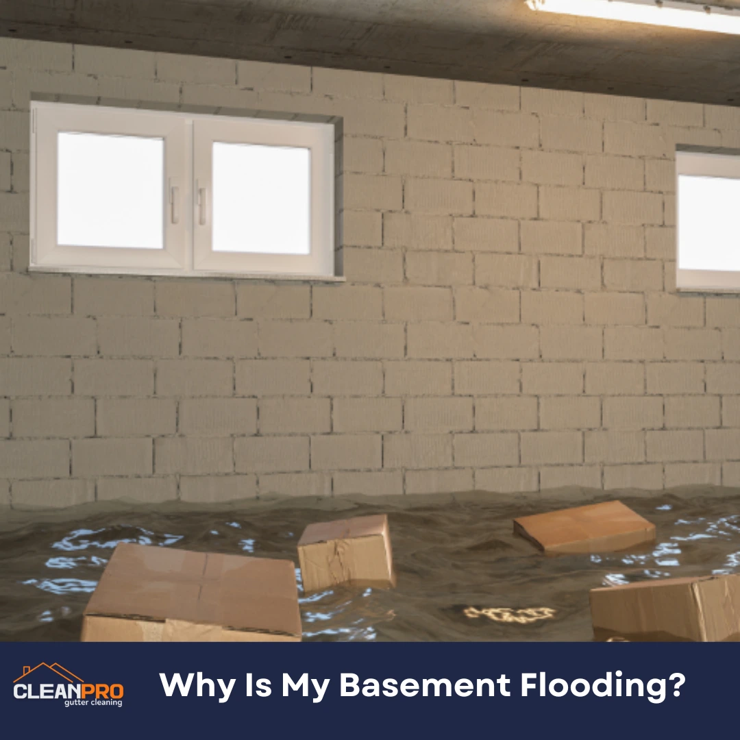 Why Is My Basement Flooding?