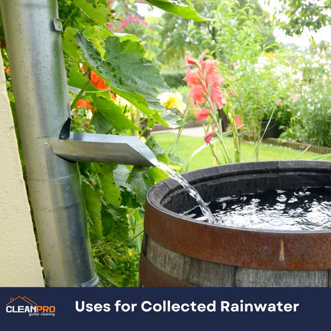 Uses for Collected Rainwater