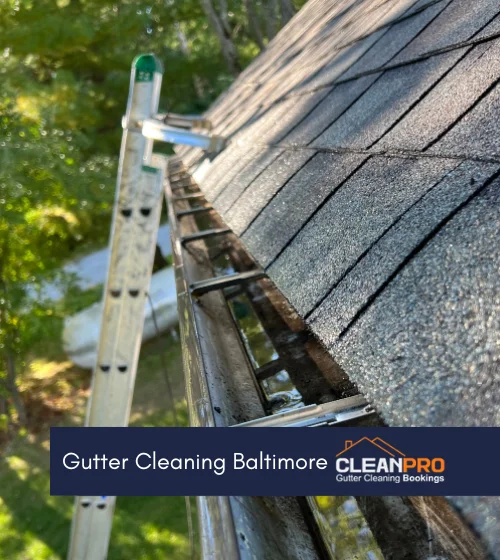 Gutter cleaning Baltimore