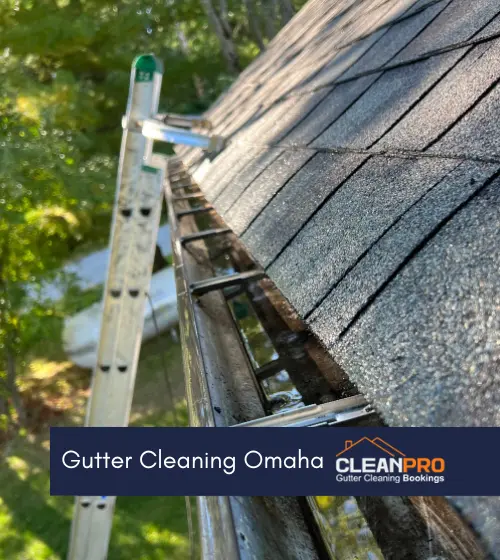 Gutter cleaning Omaha