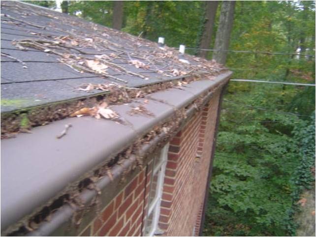 leafguard