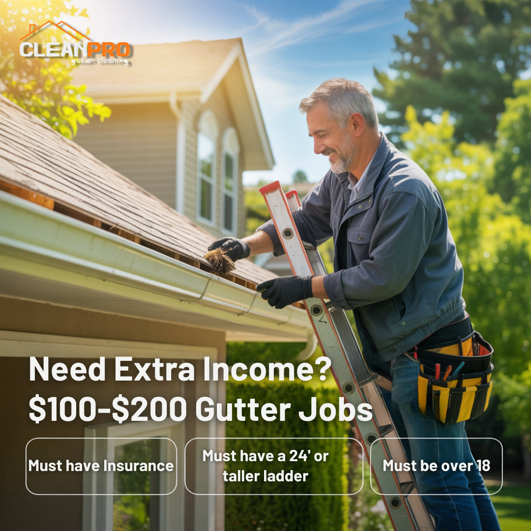 Smyrna Jobs